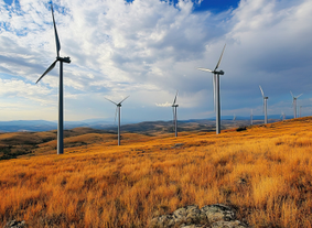 Cyber Resilience for Energy Company Cuerva